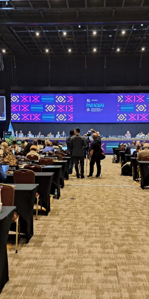 Ministarstvo civilnih poslova u Paragvaju na zasjedanju UNESCO Komiteta: Upravo izglasano, sevdalinka upisana na UNESCO Reprezentativnu listu nematerijalne kulturne baštine čovječanstva